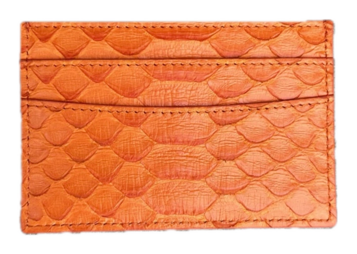 Python Card Holder